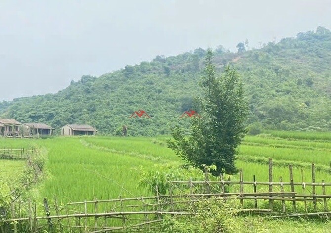 SIÊU PHẨM 460M TẠI LƯƠNG SƠN-HÒA BÌNH