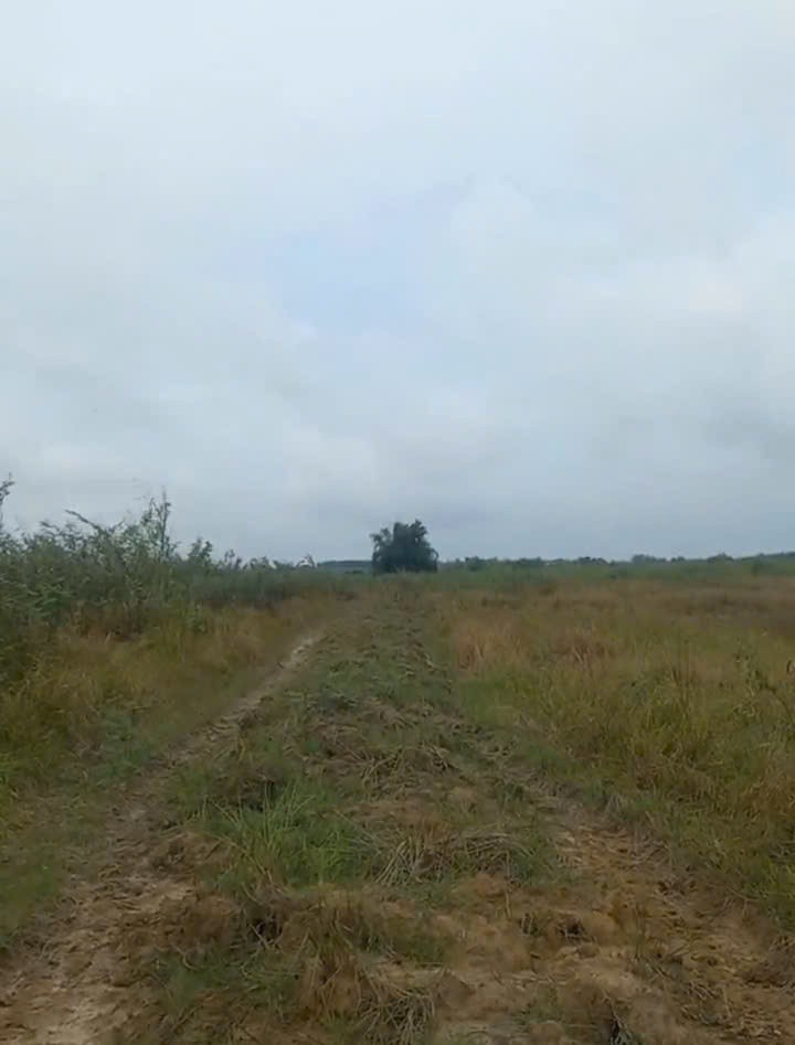 Cần bán đất 80 mẫu tại Vĩnh Cửu Đồng Nai  giá cả thương lượng nhẹ cho người có thiện chí