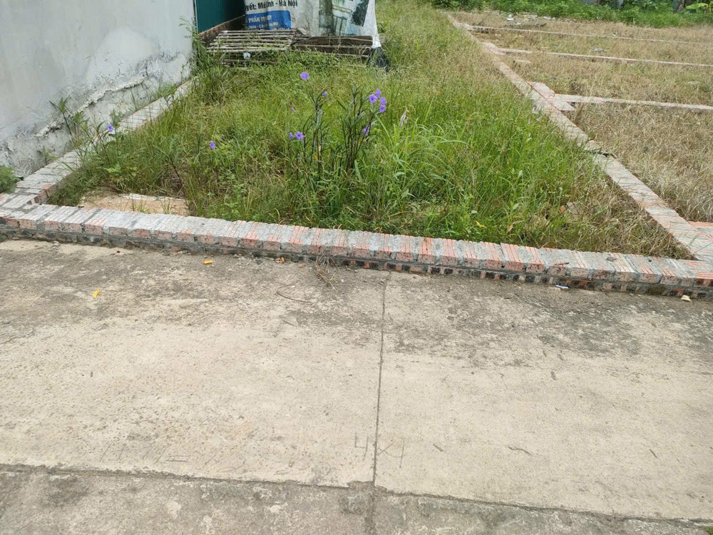 BÁN ĐẤT TỔ 9 (ẤP TRE), XÃ QUANG MINH, HN - NHÕ THÔNG BÀN CỜ, ÔTÔ VÀO ĐẤT, 100% THỔ CƯ, GIÁ ĐẦU TƯ