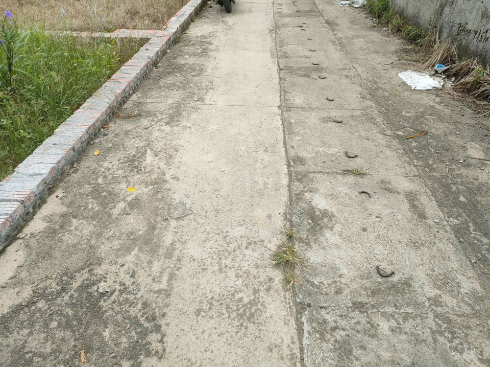 BÁN ĐẤT TỔ 9 (ẤP TRE), XÃ QUANG MINH, HN - NHÕ THÔNG BÀN CỜ, ÔTÔ VÀO ĐẤT, 100% THỔ CƯ, GIÁ ĐẦU TƯ