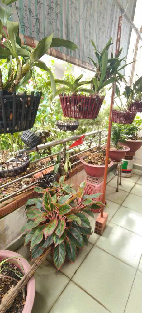 Nhà Hẻm Lê Văn Lương, Q7: 103m2, 2 Tầng, 4PN - Giá Chỉ 9.2 Tỷ