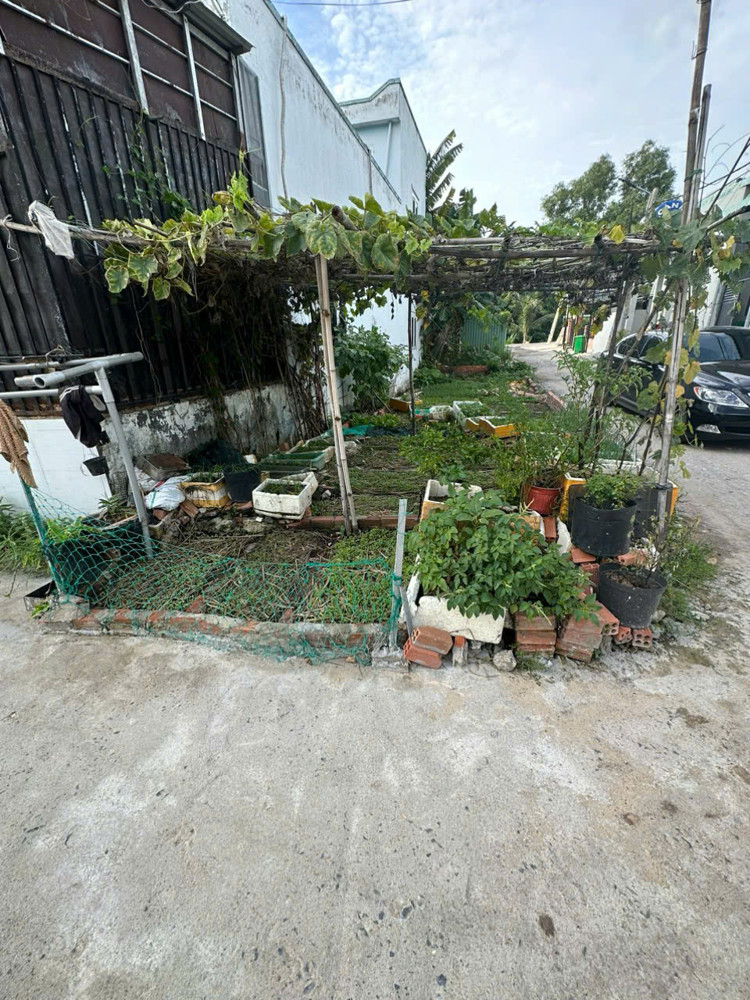 KẸT TIỀN BÁN GẤP ĐẤT 2MT THỔ CƯ ĐƯỜNG THẠNH XUÂN 43, Q12 CHỈ 3T