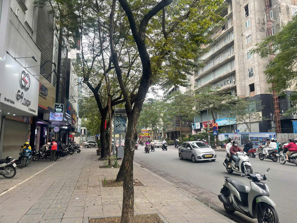 Tôi cần bán nhà mặt ngõ Thái Hà - Vị trí đoạn kinh doanh sầm uất nhất phố, vỉa hè rộng