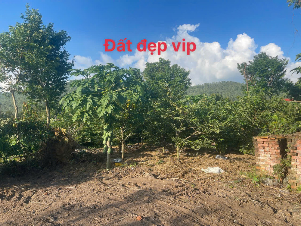 MỞ BÁN LÔ ĐẤT F0 SIÊU PHẨM , ĐẤT NGHỈ DƯỠNG TẠI ĐẠI ĐÌNH – TAM ĐẢO VĨNH PHÚC