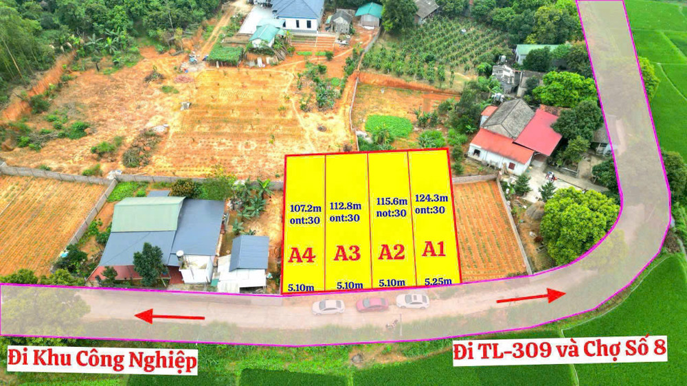 BÁN ĐẤT GIÁ SIÊU MỀM – TDP NINH HÀ, XÃ KIM LONG, HUYỆN TAM DƯƠNG, VĨNH PHÚC