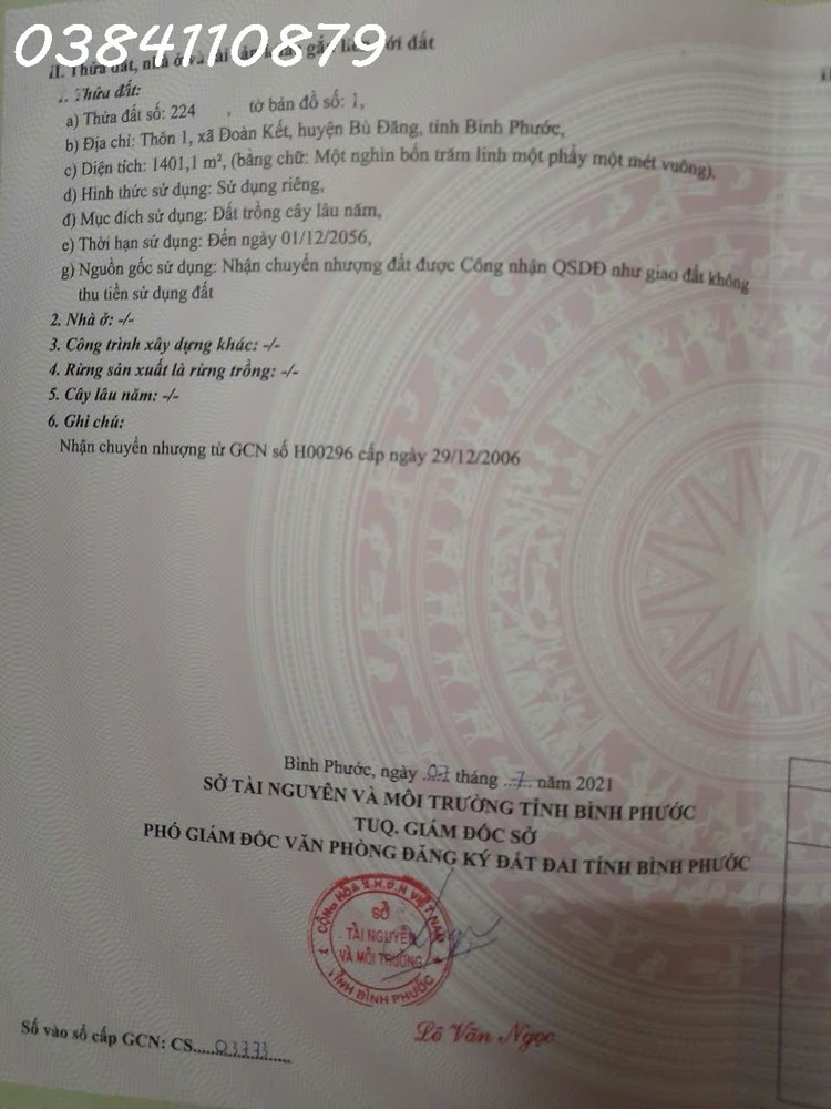 BÁN 9 HÉC CAO SU & ĐIỀU – THỰC TẾ GẦN 10 HÉC – BÙ ĐĂNG, BP, 5,8 TỶ