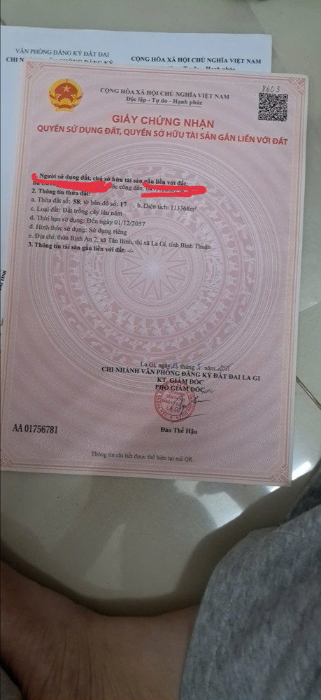 22ha lagi bình thuận đường đất xe tải thích hợp làm trang trại chăn nuôi
