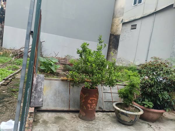 Chính chủ gửi bán 40m đất Lưu Xá, Đức Giang, Hoài Đức