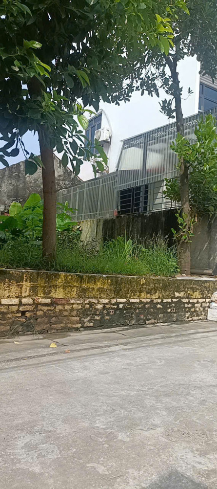 EM CC CẦN TIỀN GẤP KHÔNG XOAI ĐƯỢC TIỀN NÊN GIỜ EM CẦN BÁN LỖ ĐỂ LẤY TIỀN TRANG TRÃI CÔNG VIỆC