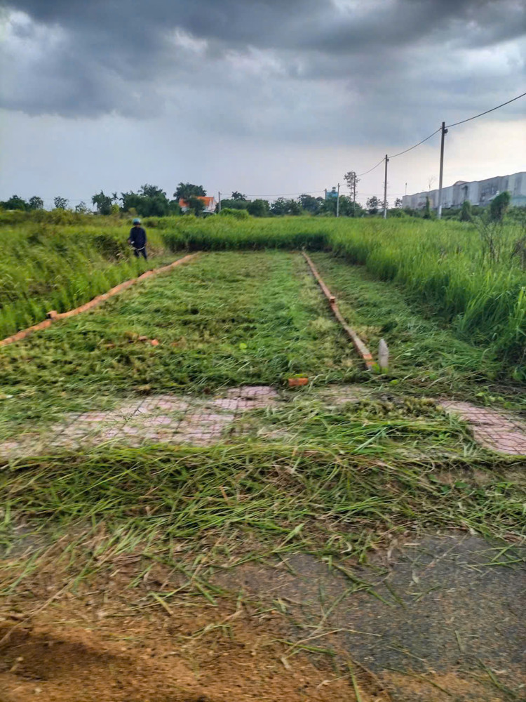 *CHÍNH CHỦ CẦN BÁN GẤP LÔ ĐẤT GIÁ RẺ NGAY XÃ TÂN LÂN, CẦN ĐƯỚC, LONG AN