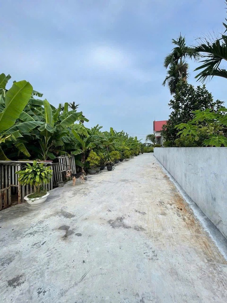 Bán đất siêu phẩm trung tâm Lão Phú – Tân Phong, ô tô vào tận nơi – giá chỉ 7xx triệu – ZALO 0567