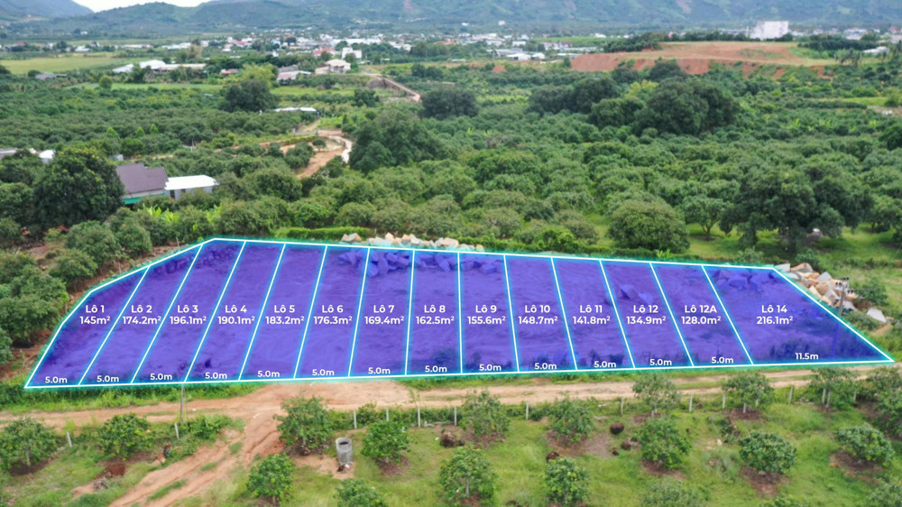 Đất nền Cam Lâm Khánh Hòa – 128m² full thổ cư, gần Quốc lộ 1A, pháp lý chuẩn