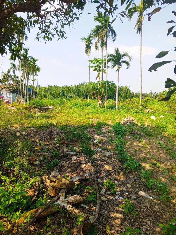 Chủ kẹt tiền cần bán lô đất tại MT đường DX 017 có 1000 m² đất ở., Cẩm Thanh giá 20 tỷ