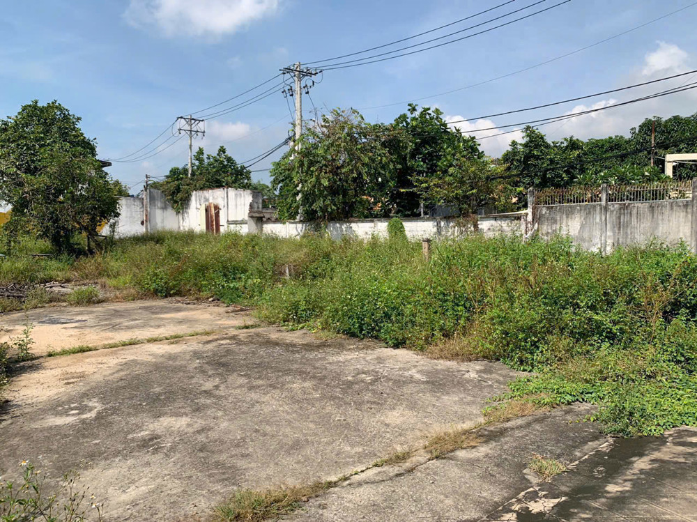 ĐẤT ĐẸP (37X77) ĐÔNG THẠNH 6-3, HÓC MÔN ĐƯỜNG NHỰA 8M CÓ VỈA HÈ