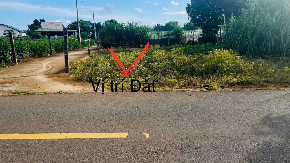 Chủ cần bán lô góc 2 mặt tiền vuông vức ngang 6m sẵn 60tc mặt tiền đường Nguyễn Huệ
