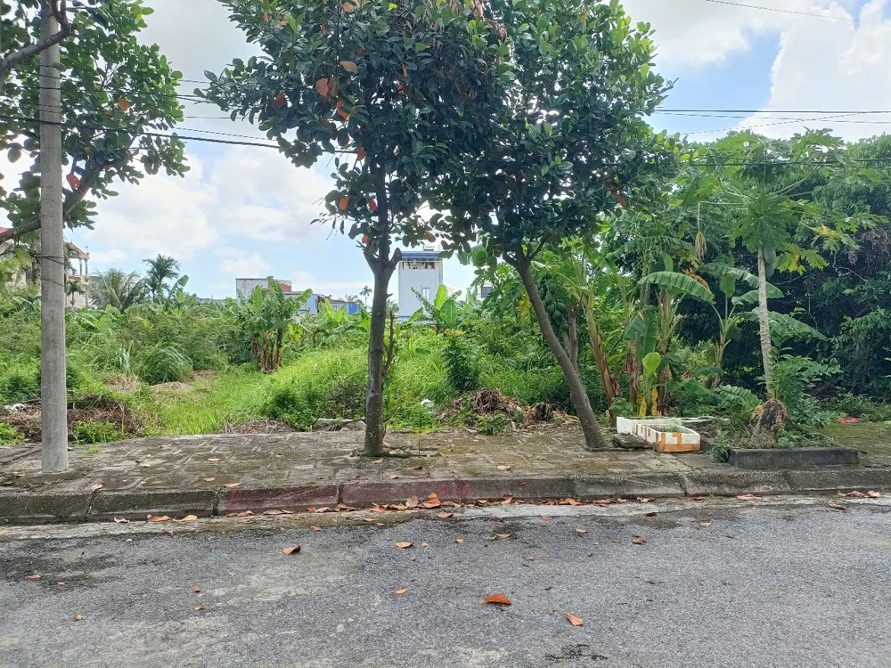 LÔ ĐẤT TĐC HÒA NGHĨA – SÁT VINHOMES, MẶT ĐƯỜNG 12M, GIÁ CHỈ 2X TRIỆU/M²  ZALO 0567 222 555