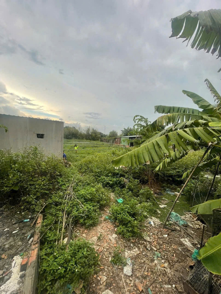 ĐẤT LỚN (22.7x66) XUÂN THỚI ĐÔNG, HÓC MÔN - THỔ CƯ 500M² GIÁ 20 TỶ!