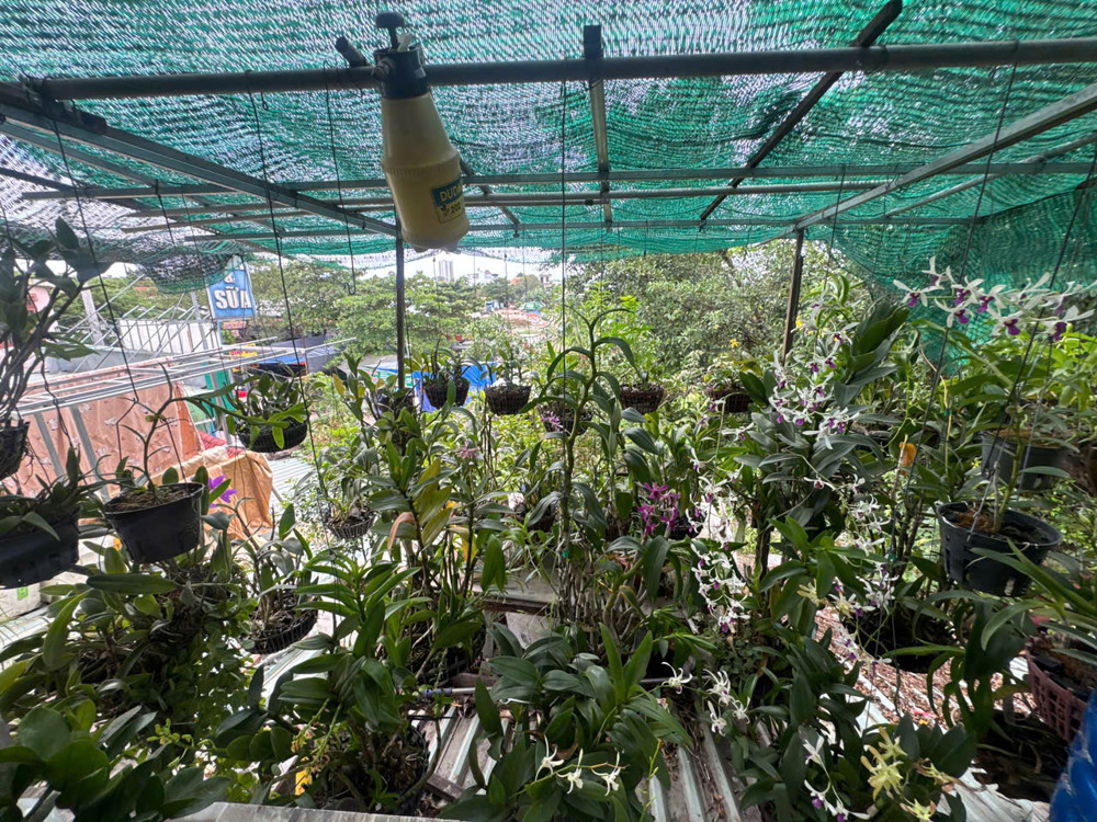 MẶT TIỀN KINH DOANH TRUNG TÂM DĨ AN – DÃY TRỌ 2 TẦNG NGANG 10M – THU 70TR/THÁNG – 416M² FULL THỔ CƯ