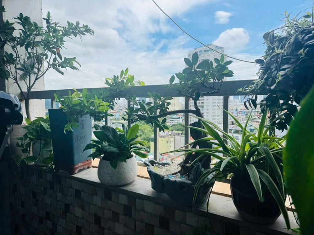 💥💥Căn hộ CT2 VIMECO mặt phố Nguyễn Chánh 130m2, 3PN Căn góc Nội thất hiện đại, 15 tỷ