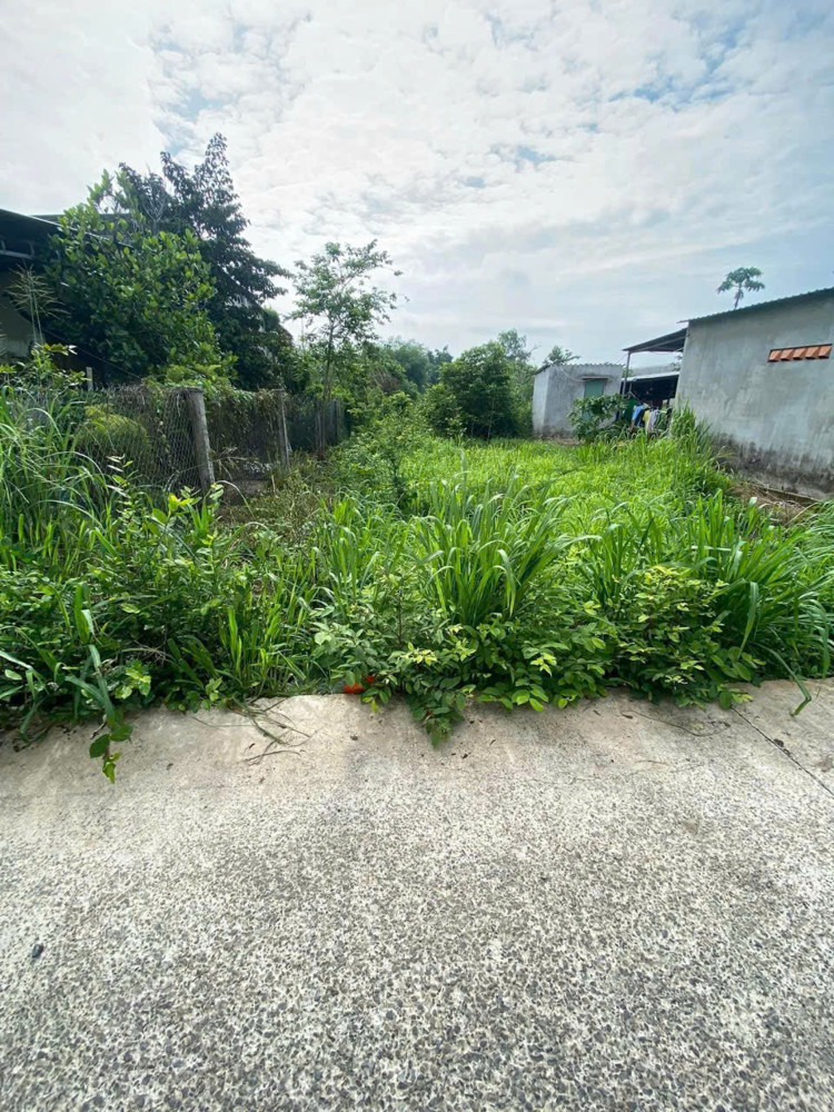 Diện tích 576,4m2 (7x83) có 100m thổ cư