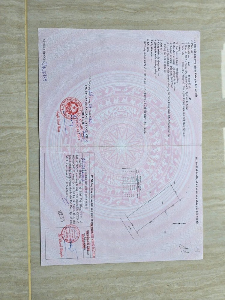 HOT HOT - CẦN BÁN LÔ ĐẤT  TRỒNG CÂY LÂU BÁN TẠI Ấp Cây Sộp, Tân An Hội, Huyện Củ Chi, HCM