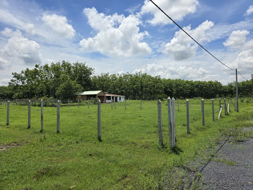 HOT HOT - CẦN BÁN LÔ ĐẤT  TRỒNG CÂY LÂU BÁN TẠI Ấp Cây Sộp, Tân An Hội, Huyện Củ Chi, HCM