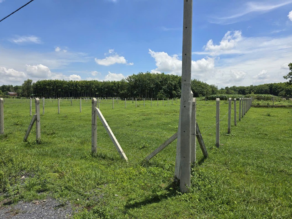 HOT HOT - CẦN BÁN LÔ ĐẤT  TRỒNG CÂY LÂU BÁN TẠI Ấp Cây Sộp, Tân An Hội, Huyện Củ Chi, HCM