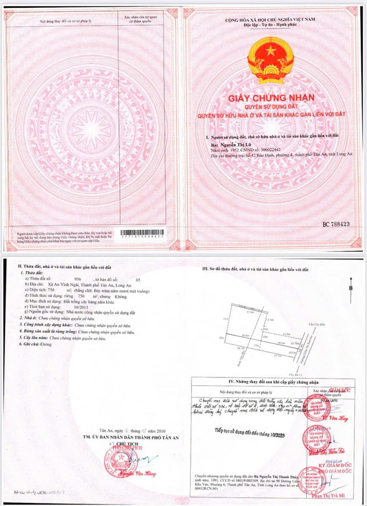CHÍNH CHỦ Cần Bán 5600M2 Đất Lúa - MẶT TIỀN Châu Thị Kim, An Vĩnh Ngãi, TP Tân An, Long An