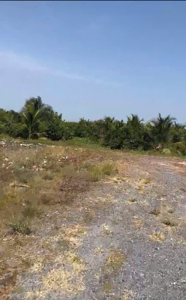 ĐẤT CHÍNH CHỦ - Bán 12.000M2 Đất Lúa - 2 Mặt Tiền Châu Thị Kim, An Vĩnh Ngãi, TP Tân An
