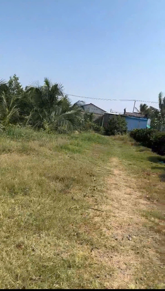 ĐẤT CHÍNH CHỦ - Bán 12.000M2 Đất Lúa - 2 Mặt Tiền Châu Thị Kim, An Vĩnh Ngãi, TP Tân An