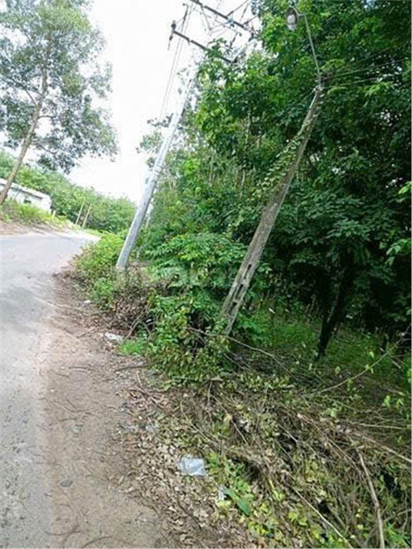 ĐẤT ĐẸP – GIÁ TỐT  – CHÍNH CHỦ CẦN BÁN TẠI Xã Suối Dây, Huyện Tân Châu, Tây Ninh