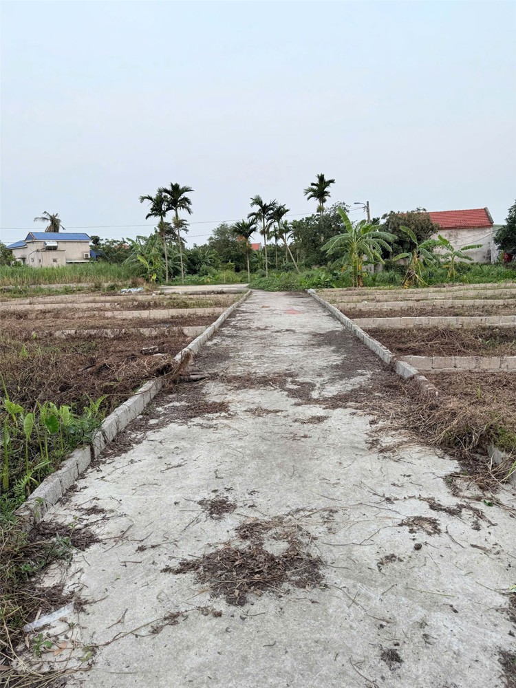 Đất giá siêu rẻ gần đường ven biển Bình Minh – Hợp Đức – Đồ Sơn, chỉ từ 6xx triệu! ZALO 0567 222 555