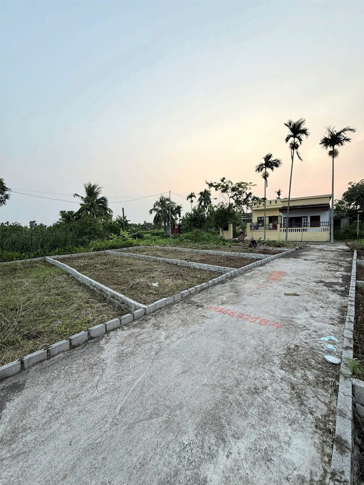 Đất giá siêu rẻ gần đường ven biển Bình Minh – Hợp Đức – Đồ Sơn, chỉ từ 6xx triệu! ZALO 0567 222 555