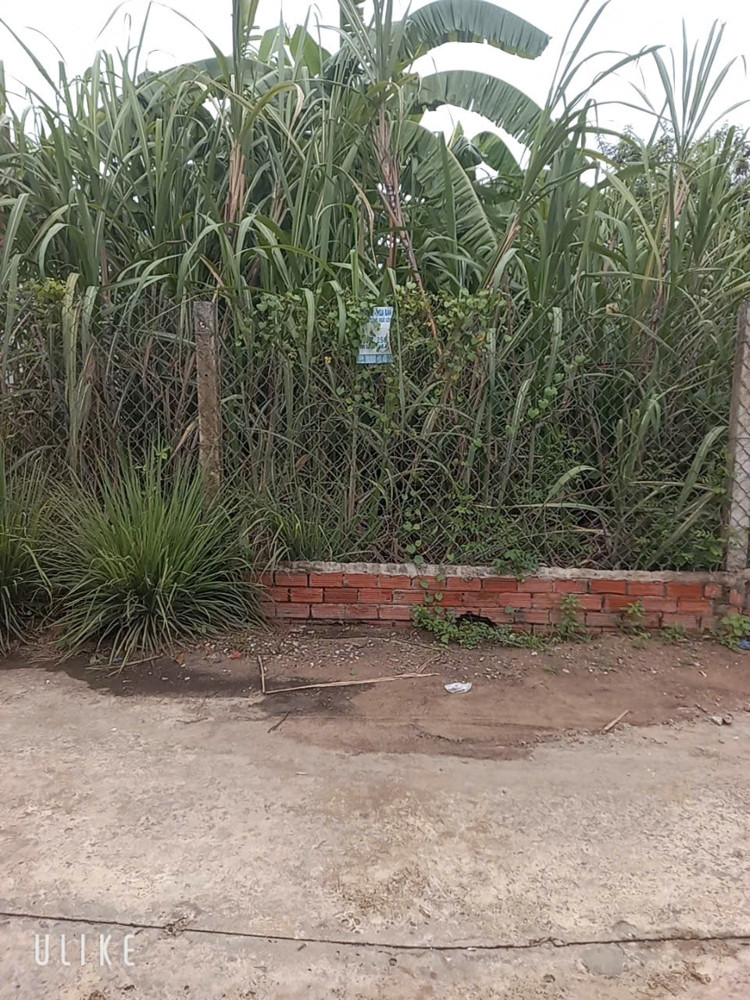HOT! HOT ! HOT 🌿CHÍNH CHỦ Bán 2 LÔ ĐẤT ĐẸP - GIÁ HỢP LÝ