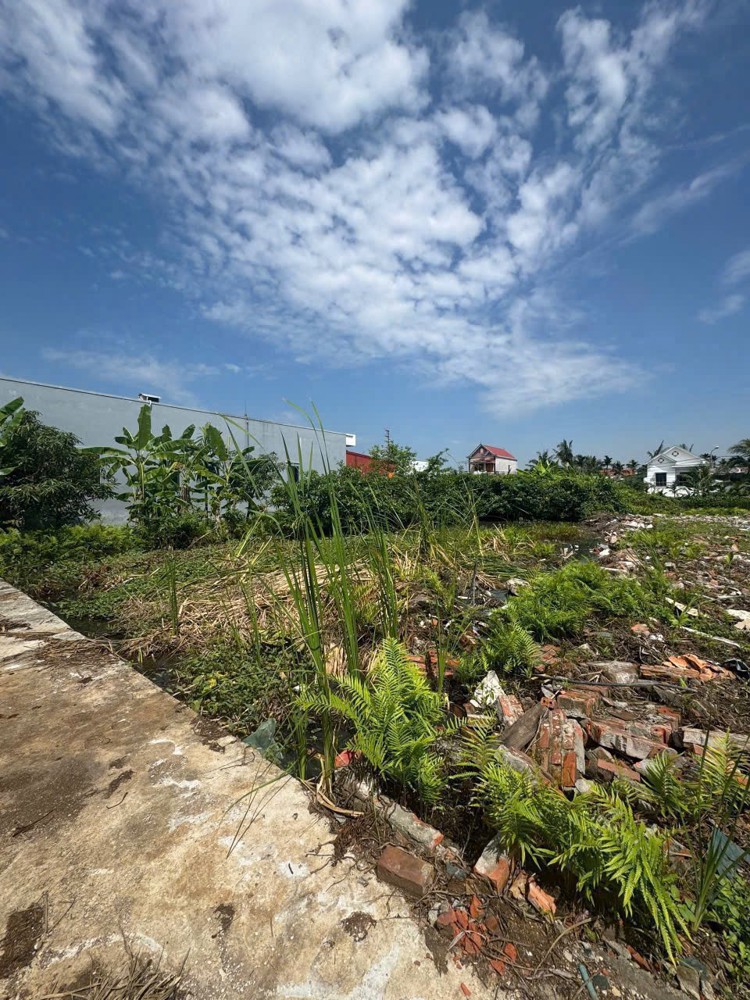 3,x TỶ - Siêu phẩm nhà vườn 583m² lô 2 trục Trung Nghĩa – Minh Đức Đồ Sơn  ZALO 0567 222 555 3,x TỶ - Siêu phẩm nhà vườn 583m² lô 2 trục Trung Nghĩa – Minh Đức Đồ Sơn  ZALO 0567 222 555