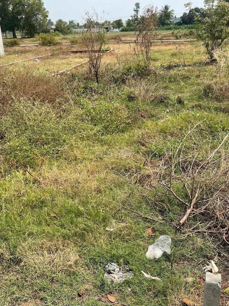 ĐẤT ĐẸP – GIÁ TỐT  – CHÍNH CHỦ CẦN BÁN Tại Tỉnh Lộ 9, Xã Đức Lập Hạ, Huyện Đức Hòa, Long An