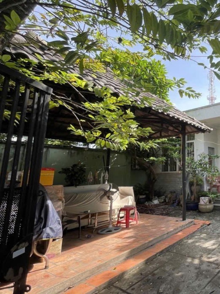 Nhà Lô góc SHR Đ.9m 236m2 – Trần Thị Bốc Hóc Môn SS Nhà Lô góc SHR Đ.9m 236m2 – Trần Thị Bốc Hóc Môn SS