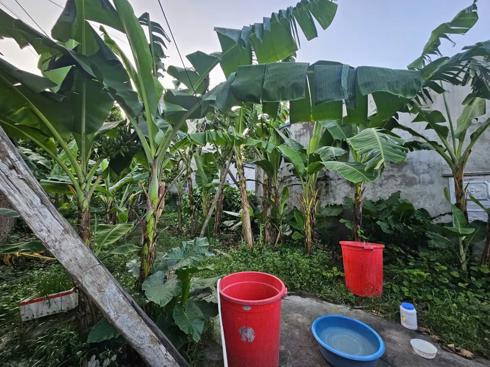 ĐẤT ĐÊ VÀNG PHÚC LỢI 106 M2 MẶT TIỀN  6.5M 11 tỷ Long Biên Hà Nội.Ô TÔ VÀO ĐẤT ĐẤT ĐÊ VÀNG PHÚC LỢI 106 M2 MẶT TIỀN  6.5M 11 tỷ Long Biên Hà Nội.Ô TÔ VÀO ĐẤT