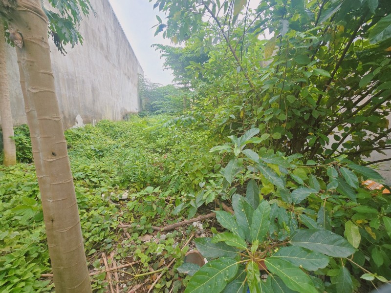 Bán đất 1000m²  P.Biên Hòa mới,gần chợ Hóa An,SHR đường xe hơi,giá mềm Bán đất 1000m²  P.Biên Hòa mới,gần chợ Hóa An,SHR đường xe hơi,giá mềm