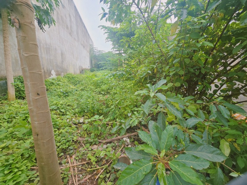 Bán đất 1000m²  P.Biên Hòa mới,gần chợ Hóa An,SHR đường xe hơi,giá mềm Bán đất 1000m²  P.Biên Hòa mới,gần chợ Hóa An,SHR đường xe hơi,giá mềm