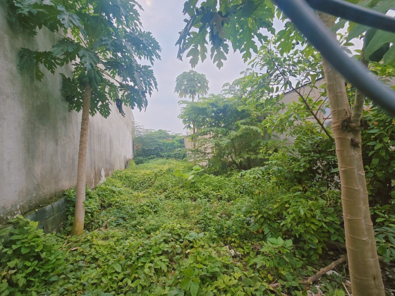 Bán đất 1000m²  P.Biên Hòa mới,gần chợ Hóa An,SHR đường xe hơi,giá mềm Bán đất 1000m²  P.Biên Hòa mới,gần chợ Hóa An,SHR đường xe hơi,giá mềm