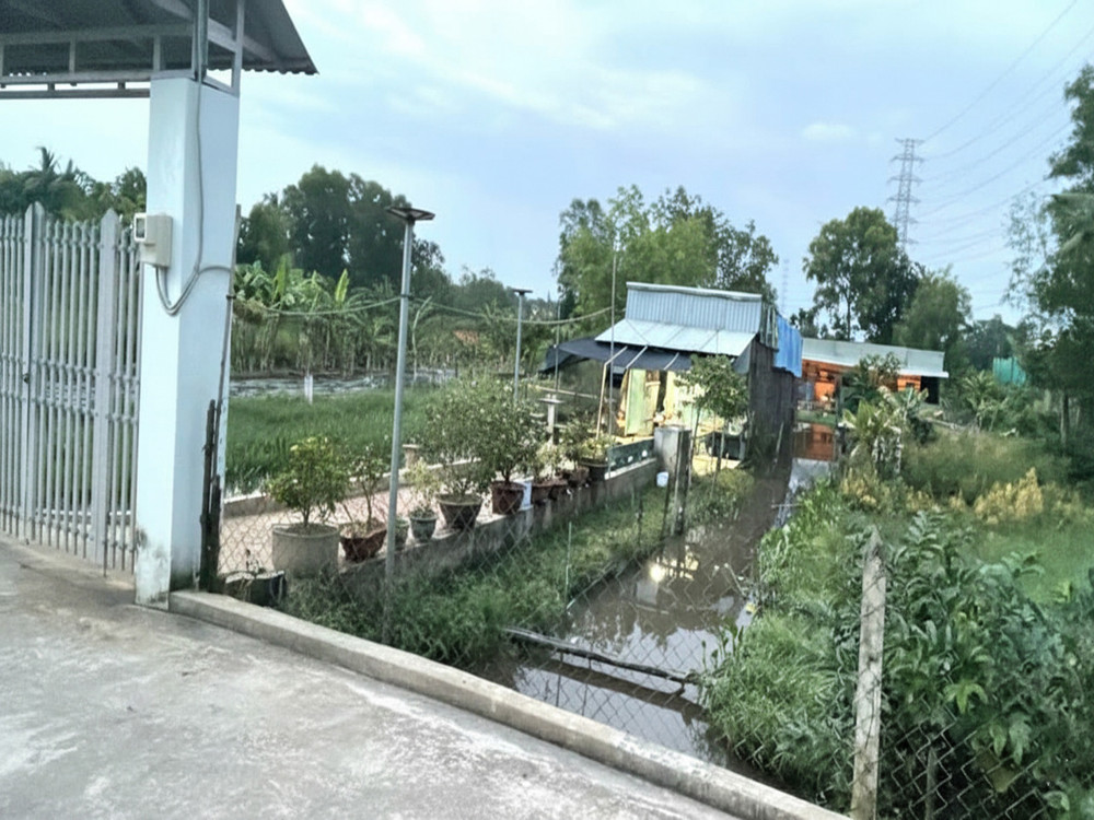 Đất Vuông SHR HXH 2798m2 – Đông Thạnh 2 Hóc Môn Đất Vuông SHR HXH 2798m2 – Đông Thạnh 2 Hóc Môn