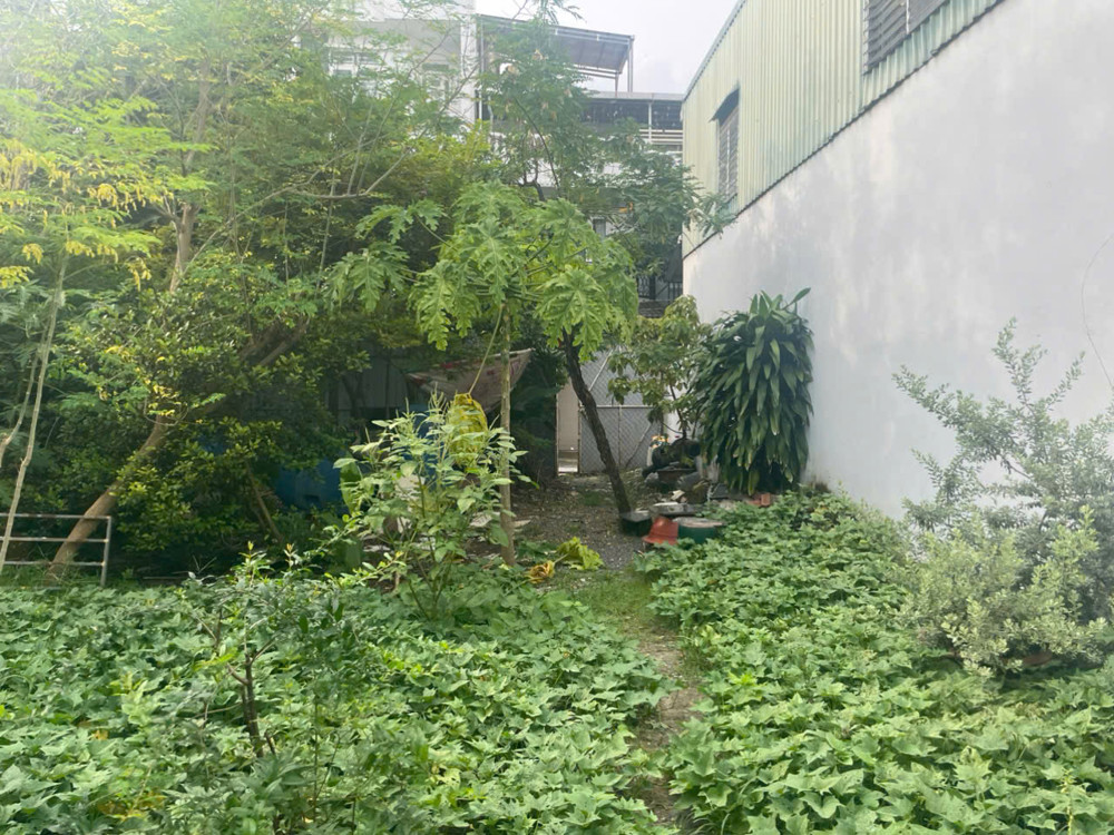 HÀNG KÍN – ĐẤT HIẾM FULL THỔ CƯ 383m² – ĐÔNG HƯNG THUẬN 17, Q12 HÀNG KÍN – ĐẤT HIẾM FULL THỔ CƯ 383m² – ĐÔNG HƯNG THUẬN 17, Q12