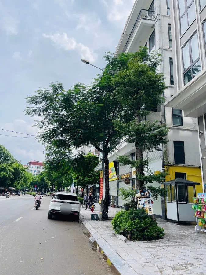 Nhà mặt Phố Khương Đình-Kinh doanh sầm uất- 48m, 7 tầng, Thang máy. 22.9 tỷ Nhà mặt Phố Khương Đình-Kinh doanh sầm uất- 48m, 7 tầng, Thang máy. 22.9 tỷ