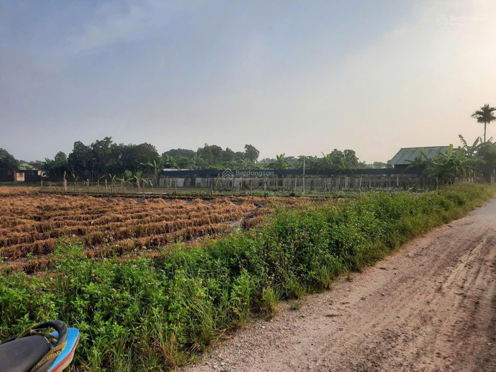 Đất đẹp giá rẻ mặt đường 6m, 508m² vuông vắn, gần khu Vin đầu tư chỉ 1tr/m²! Đất đẹp giá rẻ mặt đường 6m, 508m² vuông vắn, gần khu Vin đầu tư chỉ 1tr/m²!