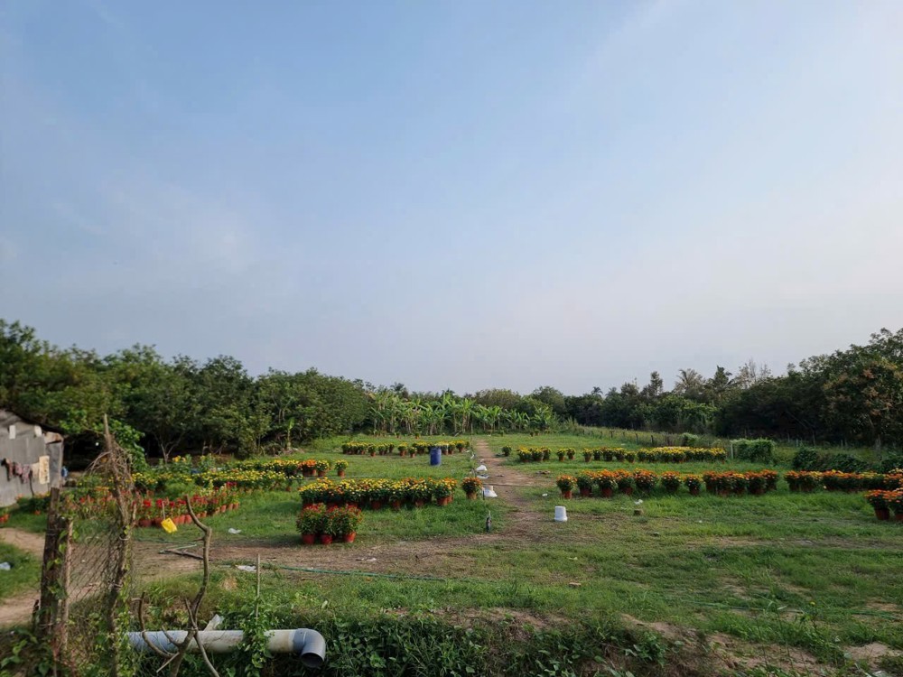 ĐẤT ĐẸP – GIÁ TỐT – CHÍNH CHỦ BÁN TẠI Đường Quốc Lộ 57, Xã Bình Hoà Phước, Long Hồ, Vĩnh Long ĐẤT ĐẸP – GIÁ TỐT – CHÍNH CHỦ BÁN TẠI Đường Quốc Lộ 57, Xã Bình Hoà Phước, Long Hồ, Vĩnh Long