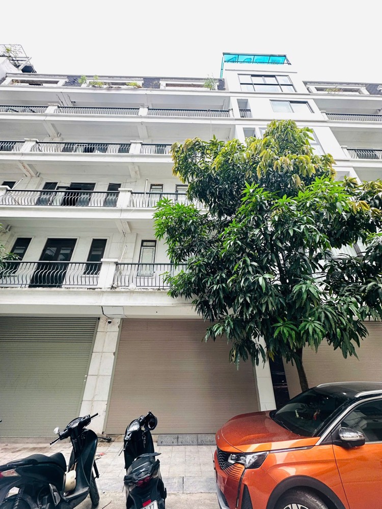 Nhà phân lô Phố Trần Điền-Gần Hồ, BV Bưu Điện-Kinh doanh-Phòng Khám-52m, 6 tầng. 18,35 tỷ