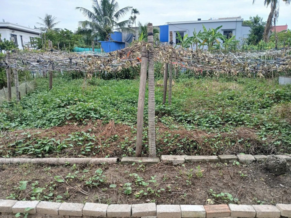 LÔ ĐẸP TRUNG TÂM HỮU BẰNG – GIÁ CHỈ 9XX TRIỆU  ZALO 0567 222 555 LÔ ĐẸP TRUNG TÂM HỮU BẰNG – GIÁ CHỈ 9XX TRIỆU  ZALO 0567 222 555