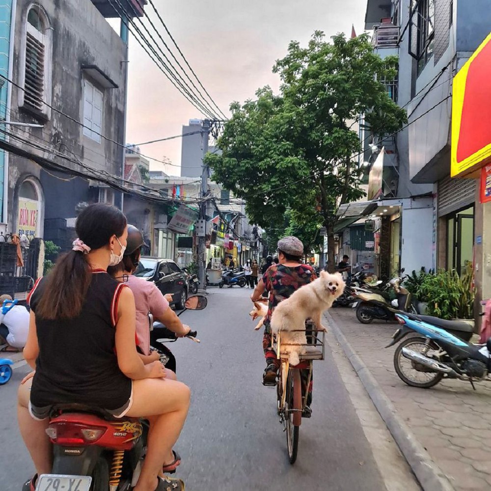 🎯 HÀNG HIẾM GIA LÂM: 35m² TRÂU QUỲ SÁT HV NÔNG NGHIỆP - NHỈNH 5 TỶ! Lh 0989894845 🎯 🎯 HÀNG HIẾM GIA LÂM: 35m² TRÂU QUỲ SÁT HV NÔNG NGHIỆP - NHỈNH 5 TỶ! Lh 0989894845 🎯