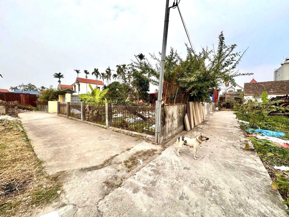 LÔ ĐẸP TUYẾN 2 HẢI PHÒNG – GẦN CẦU RÀO 3, GIÁ CHỈ 1,1XX TỶ  ZALO 0567 222 555 LÔ ĐẸP TUYẾN 2 HẢI PHÒNG – GẦN CẦU RÀO 3, GIÁ CHỈ 1,1XX TỶ  ZALO 0567 222 555